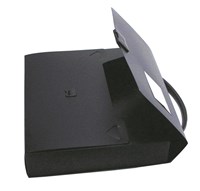 Colby Art A4 Maxi Art Carry Case